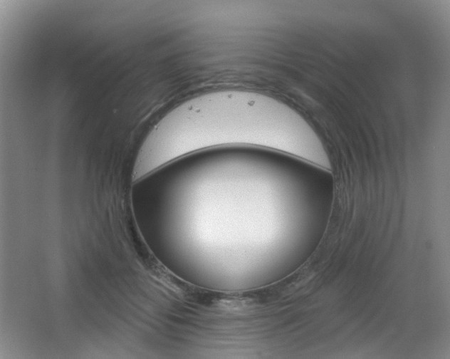 X0000065230556200602170931