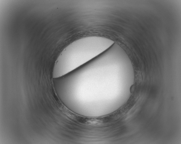 X0000065230557200602170931