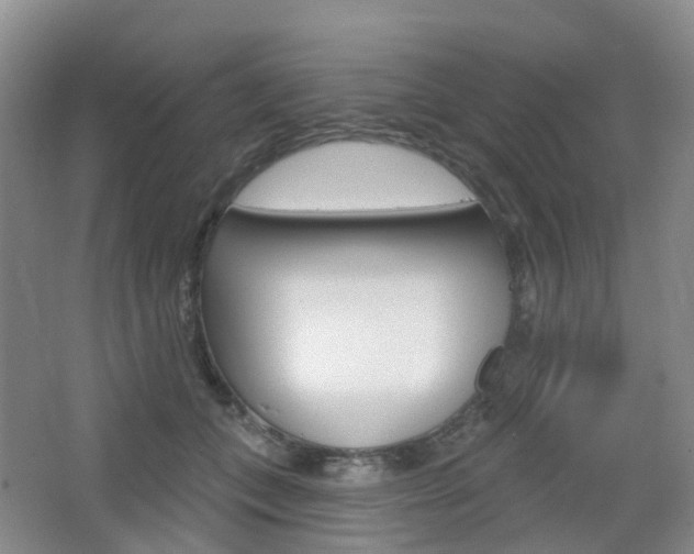 X0000065230559200602170931