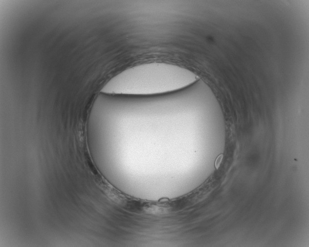 X0000065230561200602170931