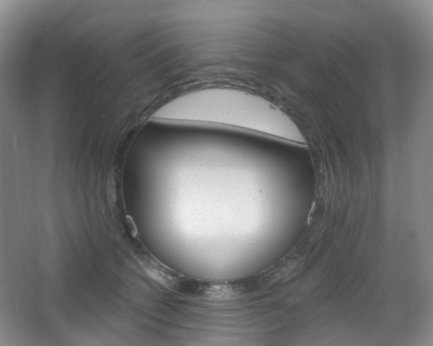 X0000065230562200602170931