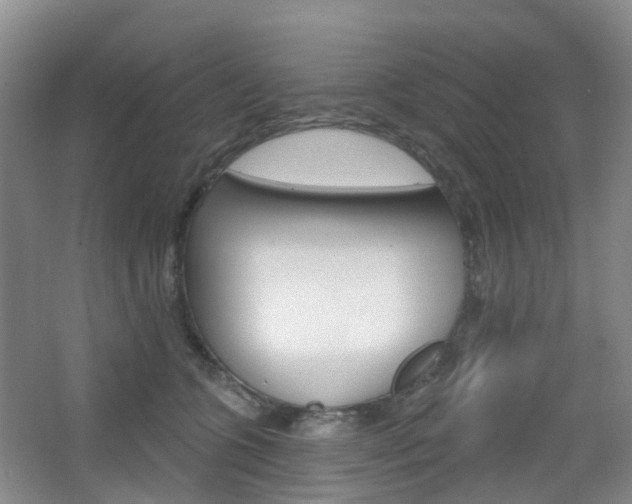 X0000065230563200602170931