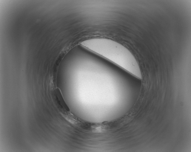 X0000065230564200602170931
