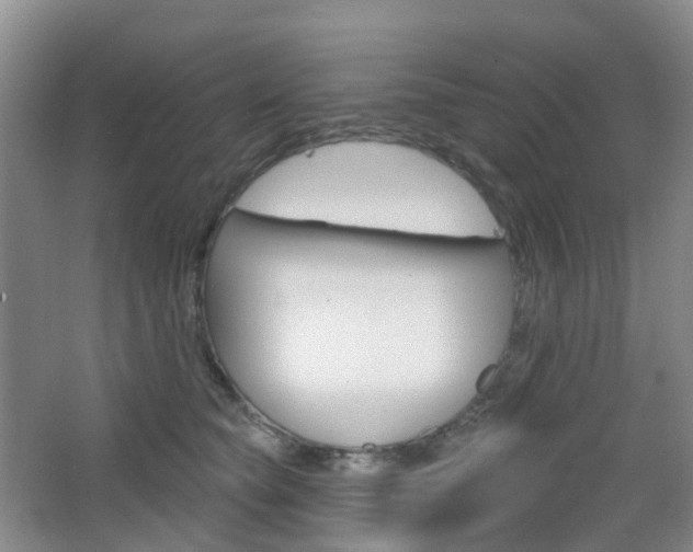 X0000065230565200602170931