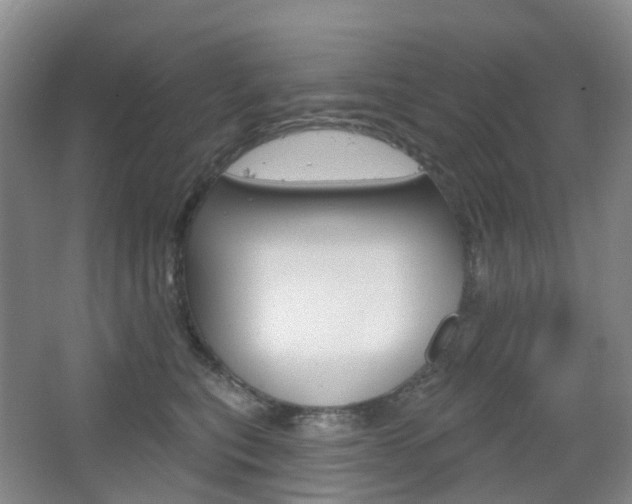 X0000065230567200602170931
