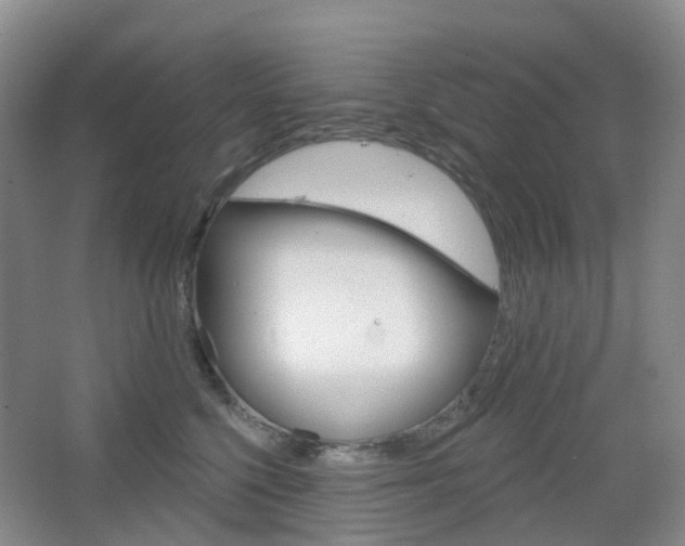 X0000065230568200602170931