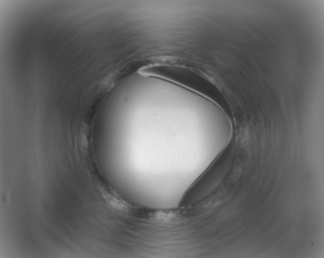X0000065230570200602170931