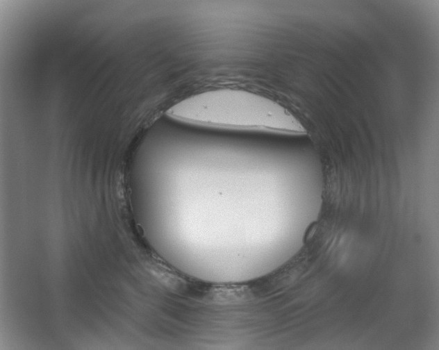 X0000065230571200602170931