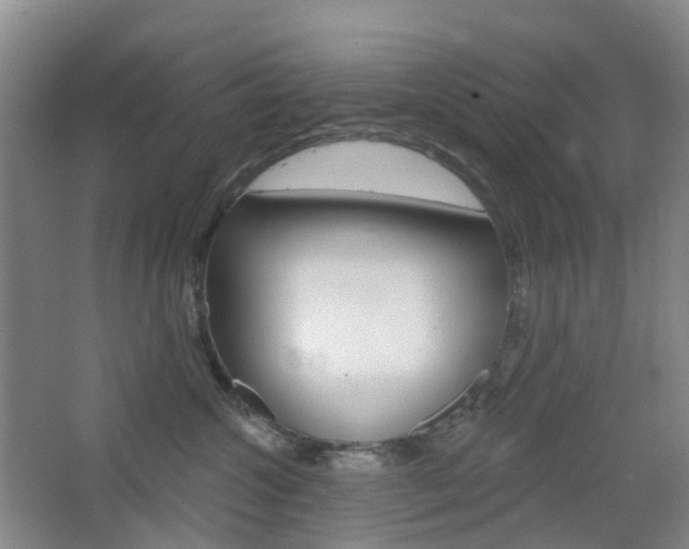 X0000065230572200602170931