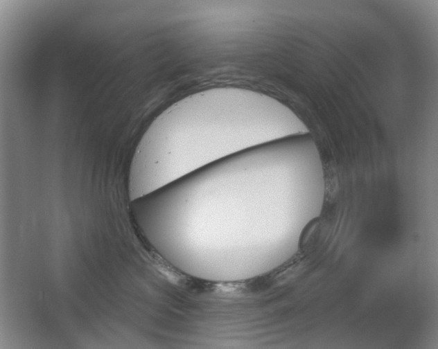 X0000065230573200602170931