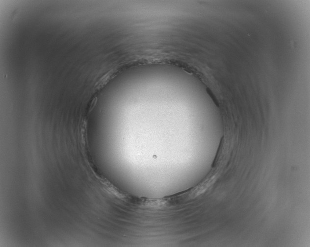 X0000065230576200602170931