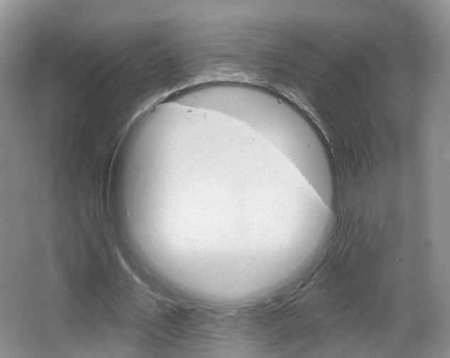 X0000065230579200602170930