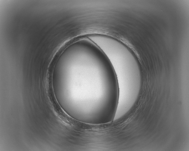 X0000065230580200602170930