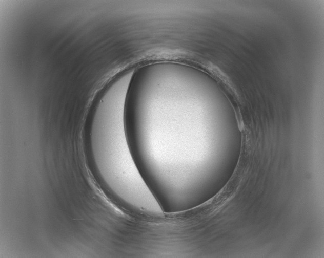 X0000065230581200602170930