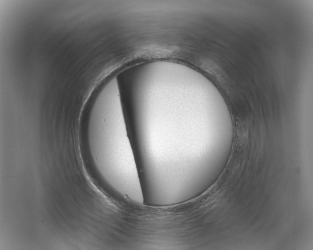 X0000065230582200602170930