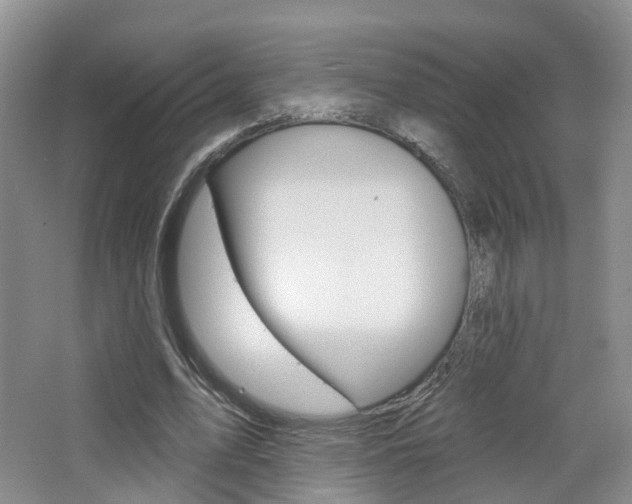 X0000065230583200602170930