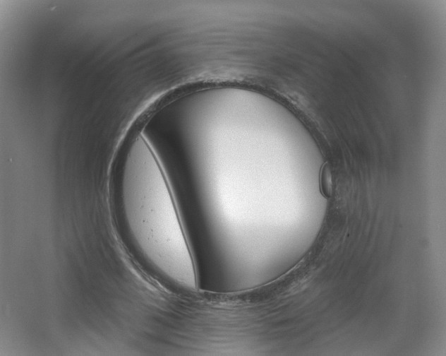 X0000065230584200602170930