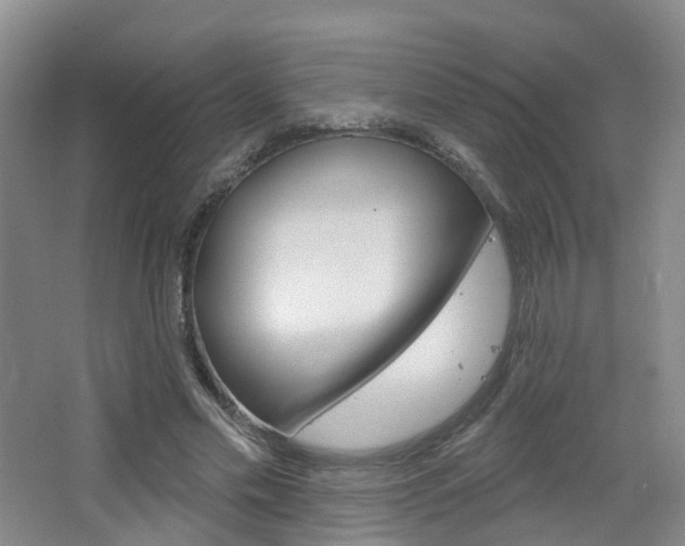 X0000065230589200602170930