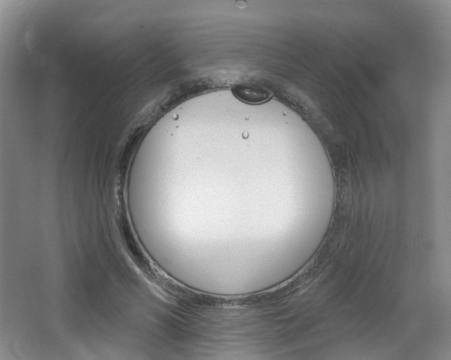 X0000065230590200602170930