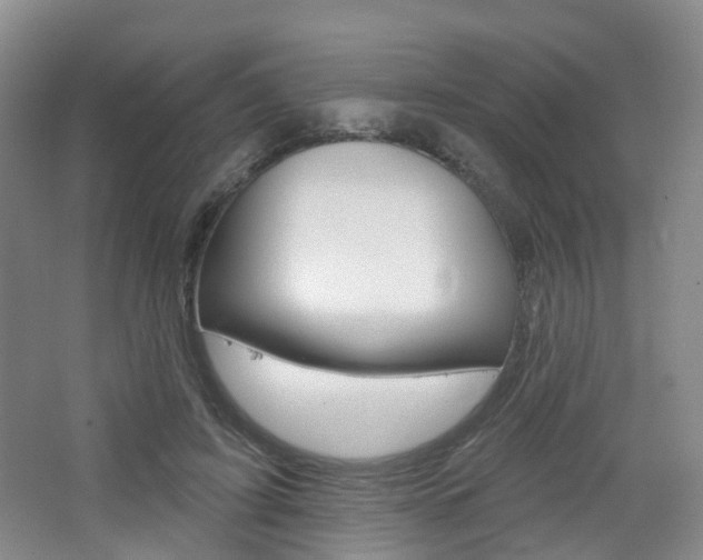 X0000065230595200602170930