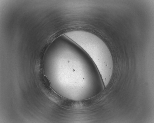 X0000065230600200602170930