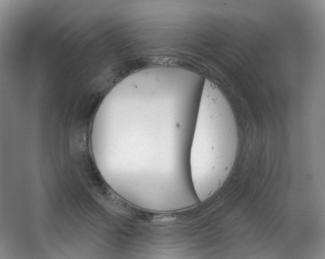 X0000065230602200602170930