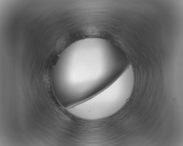 X0000065230609200602170930