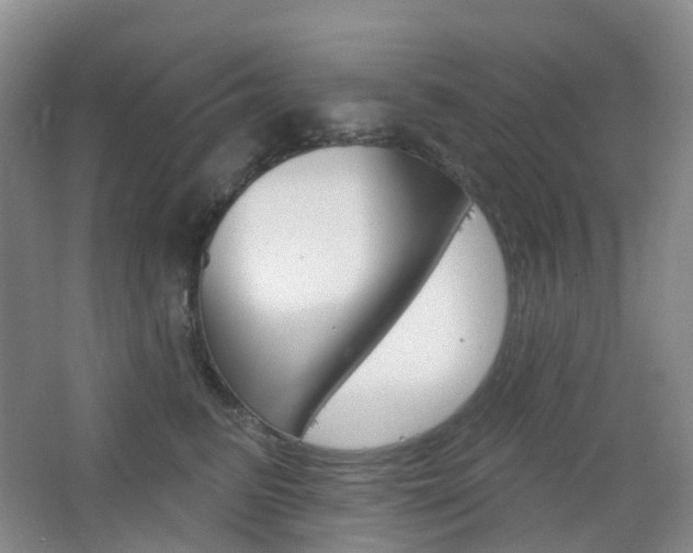 X0000065230615200602170930