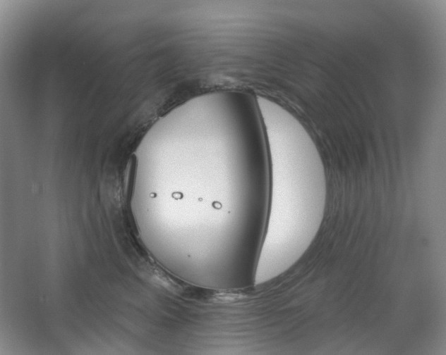 X0000065230617200602170930