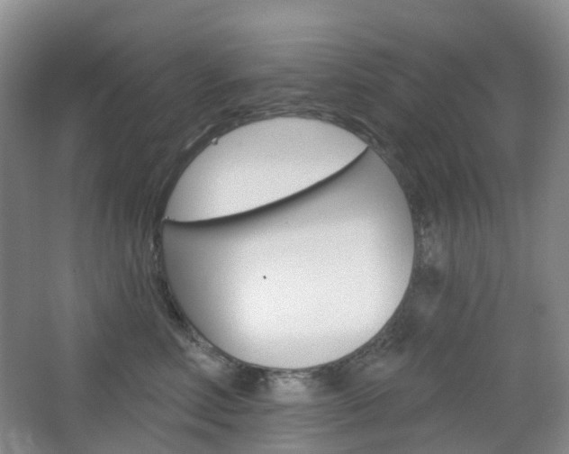 X0000065230618200602170930