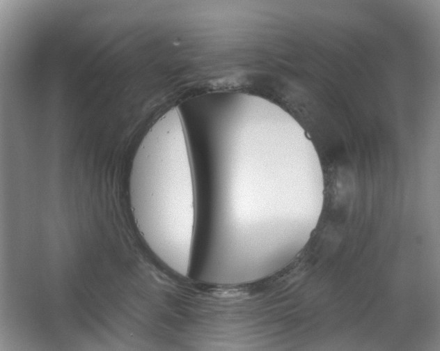 X0000065230619200602170930