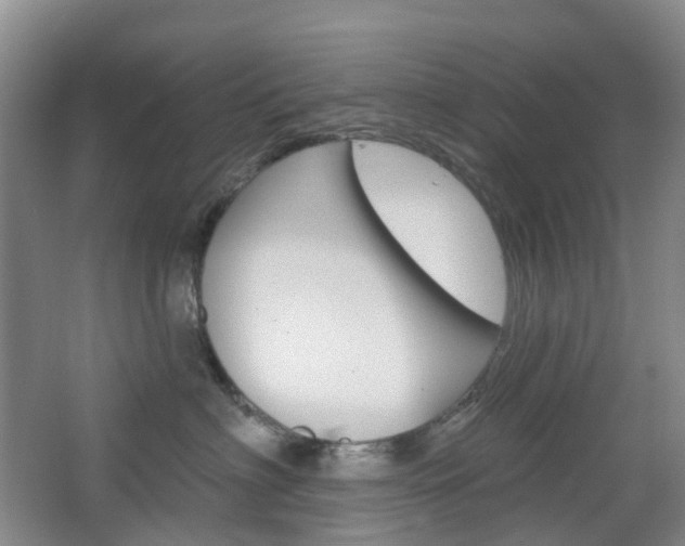 X0000065230622200602170930