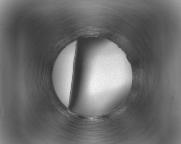 X0000065230623200602170929