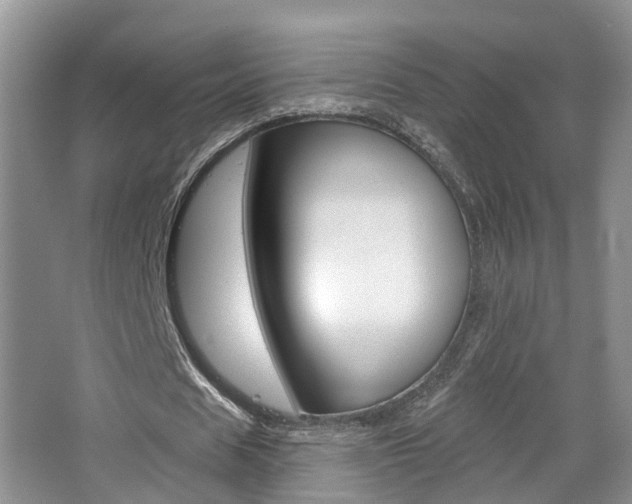 X0000065230625200602170929