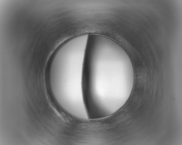 X0000065230626200602170929