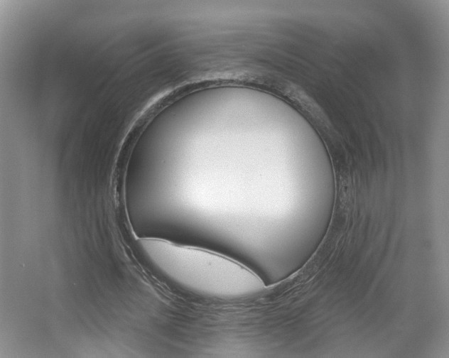 X0000065230628200602170929