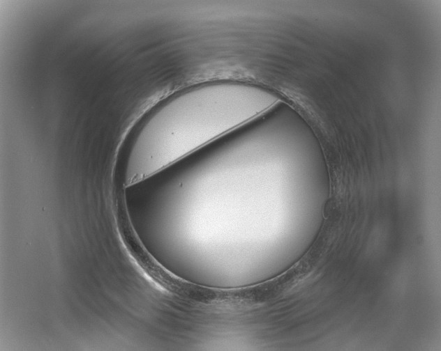 X0000065230630200602170929