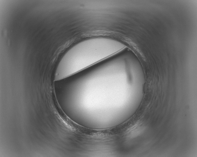X0000065230633200602170929