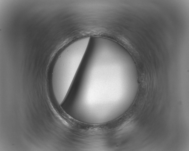 X0000065230634200602170929