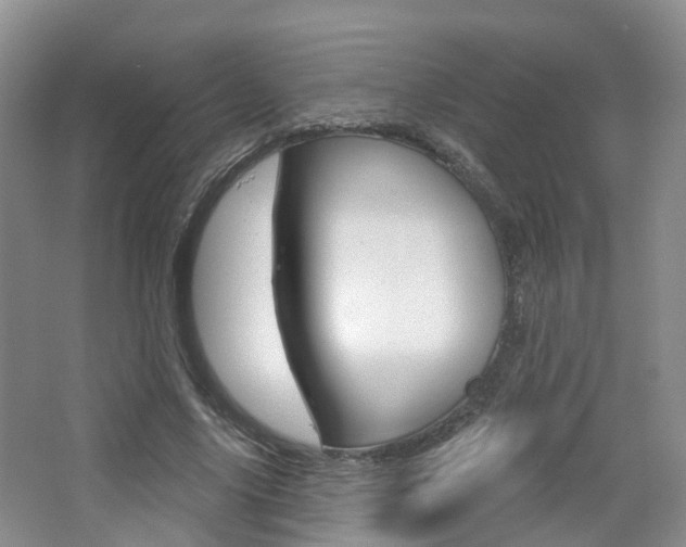 X0000065230635200602170929