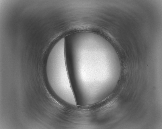 X0000065230637200602170929