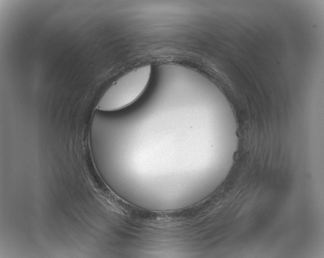 X0000065230641200602170929