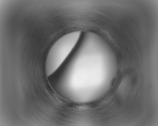 X0000065230645200602170929