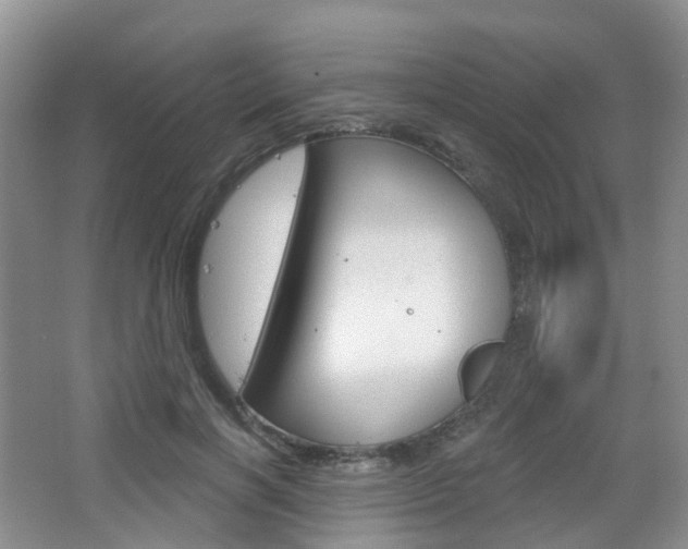 X0000065230646200602170929