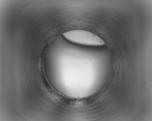 X0000065230647200602170929