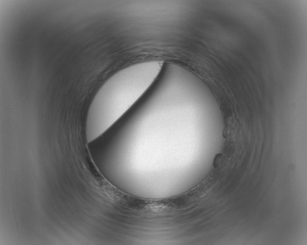 X0000065230650200602170929