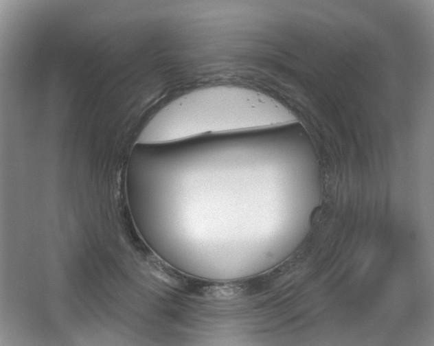 X0000065230652200602170929