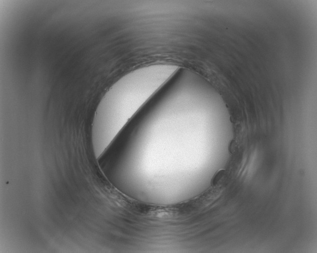 X0000065230655200602170929