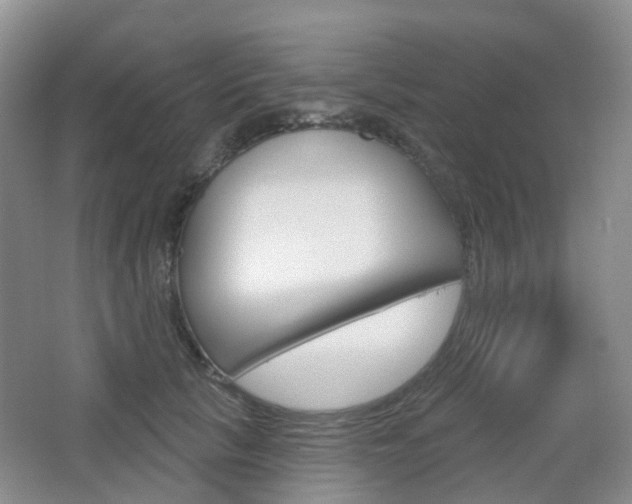 X0000065230657200602170929