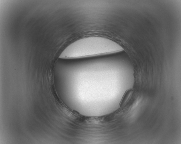 X0000065230661200602170929